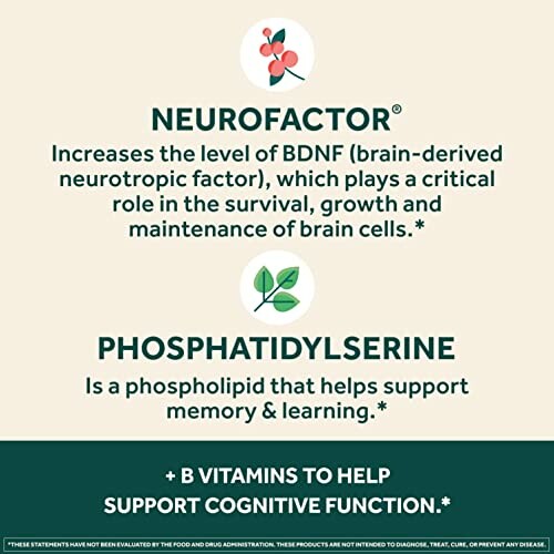 Benefits of Neurofactor and Phosphatidylserine for brain health.